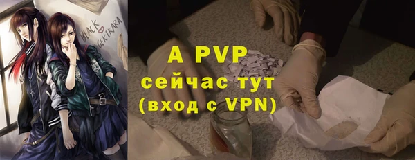 хмурый Каменногорск