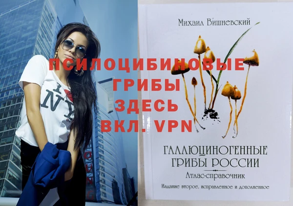 мяу мяу мука Каменск-Шахтинский