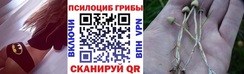 Галлюциногенные грибы Psilocybe  Купить  Заволжск 